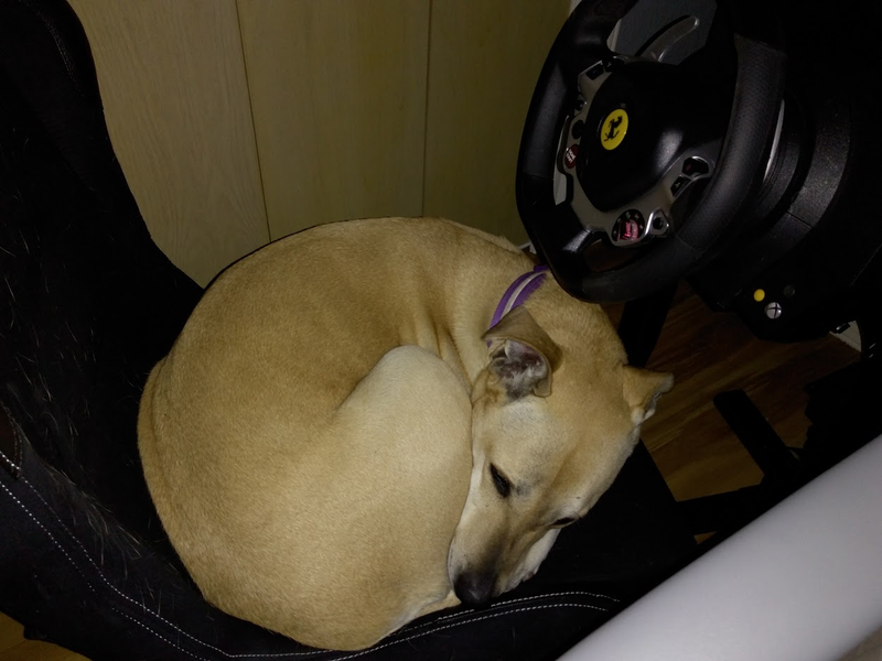 Illustration for article titled Doggo still not old enough to drive, even on a sim.